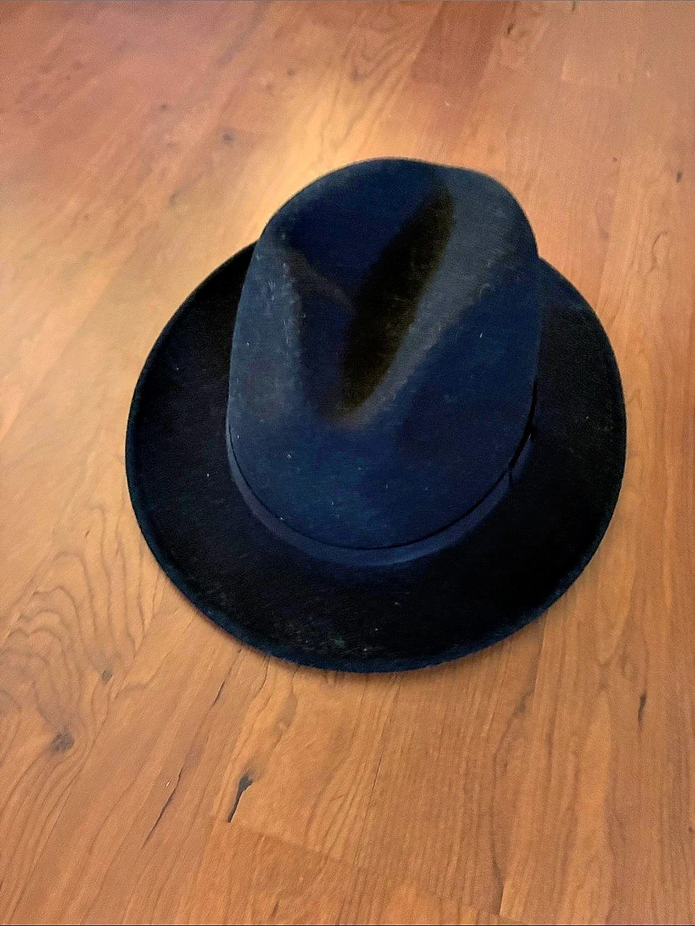 Country Gentleman Willow fedora Black Hat